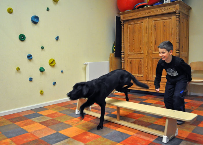 tiergestützte Therapie